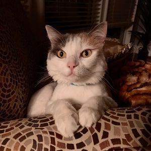 Meet your Posher, Jeff